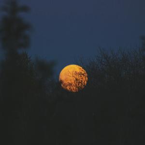 中国古代淫女肥胖BBW
